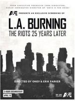 Watch L.A. Burning: The Riots 25 Years Later 5movies