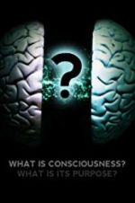 Watch What Is Consciousness? What Is Its Purpose? 5movies