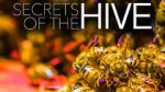 Watch Secrets of the Hive 5movies