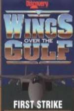 Watch Wings Over the Gulf Vol  1  First Strike 5movies