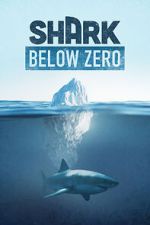 Watch Shark Below Zero 5movies