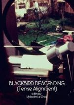 Watch Blackbird Descending 5movies