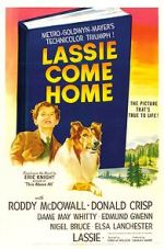 Watch Lassie Come Home 5movies