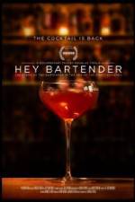Watch Hey Bartender 5movies