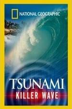 Watch National Geographic: Tsunami - Killer Wave 5movies