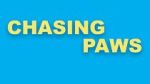 Watch Chasing Paws (Short 2020) 5movies