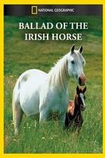 Watch Ballad of the Irish Horse 5movies