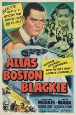 Watch Alias Boston Blackie 5movies