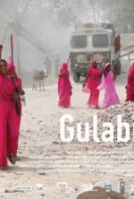 Watch Gulabi Gang 5movies
