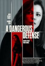 Watch A Dangerous Defense 5movies