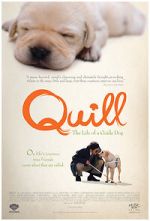Watch Quill: The Life of a Guide Dog 5movies