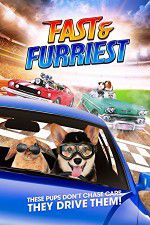Watch Fast and Furriest 5movies