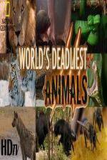 Watch National Geographic - Worlds Deadliest Animal Battles 5movies