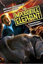 Watch The Incredible Elephant 5movies