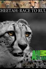 Watch Cheetah: Race to Rule 5movies