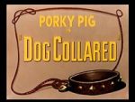 Watch Dog Collared (Short 1950) 5movies