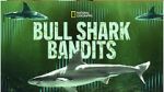 Watch Bull Shark Bandits 5movies