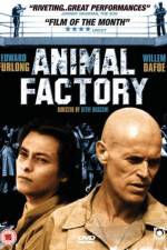 Watch Animal Factory 5movies