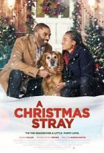 Watch A Christmas Stray 5movies