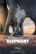 Watch Elephant 5movies