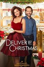 Watch Deliver by Christmas 5movies