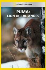 Watch National Geographic  Puma: Lion of the Andes 5movies