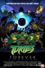 Watch Teenage Mutant Ninja Turtles Turtles Forever 5movies