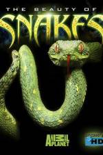 Watch The Beauty of Snakes 5movies