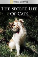 Watch The Secret Life of Cats 5movies