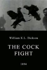 Watch The Cock Fight 5movies