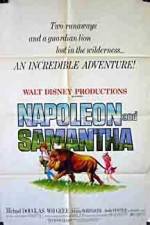 Watch Napoleon and Samantha 5movies