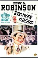Watch Brother Orchid 5movies
