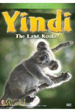 Watch Yindi the Last Koala 5movies