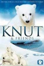 Watch Knut and Friends 5movies