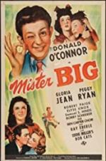 Watch Mister Big 5movies