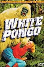 Watch White Pongo 5movies