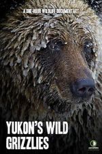 Watch Yukon\'s Wild Grizzlies 5movies