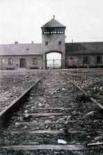 Watch AUSCHWITZ: FRENZIED KILLING 5movies