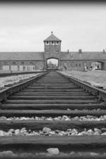 Watch AUSCHWITZ: ORDERS AND INITIATIVES 5movies