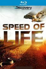 Watch Speed of Life 5movies