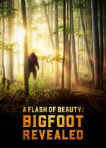 Watch A Flash of Beauty: Bigfoot Revealed 5movies