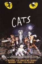 Watch Cats 5movies