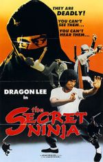 Watch Secret Ninja 5movies