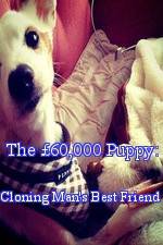 Watch The 60,000 Puppy: Cloning Man's Best Friend 5movies