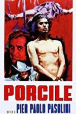 Watch Porcile 5movies