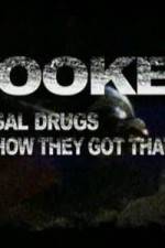 Watch Hooked Illegal Drugs & How They Got That Way - Opium Morphine and Heroin 5movies