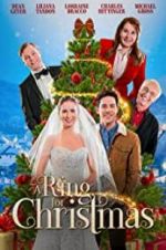 Watch A Ring for Christmas 5movies