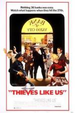 Watch Thieves Like Us 5movies