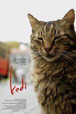 Watch Kedi 5movies