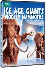 Watch Woolly Mammoth: Secrets from the Ice 5movies